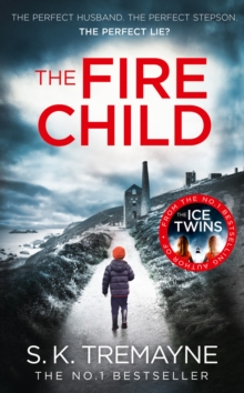 Image for The fire child