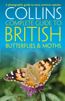 Image for Collins complete guide to British butterflies & moths