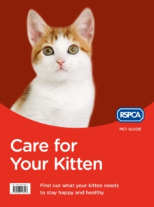 Image for Care for your kitten