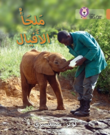 Image for Elephant Sanctuary