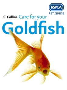 Image for Care for your goldfish.