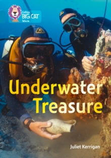 Underwater Treasure: Band 13/Topaz