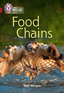 Image for Food chains