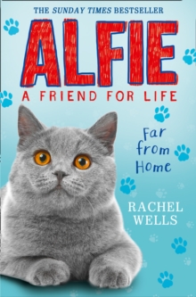 Image for Alfie Far From Home
