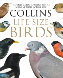 Collins Life-Size Birds: The Only Guide to Show British Birds at Their Actual Size