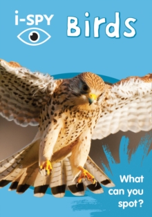Image for Birds  : what can you spot?
