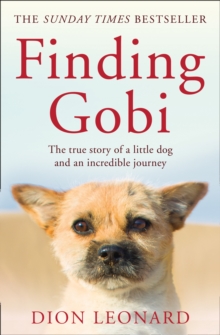 Image for Finding Gobi  : the true story of a little dog and an incredible journey