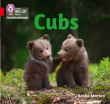 Image for Cubs