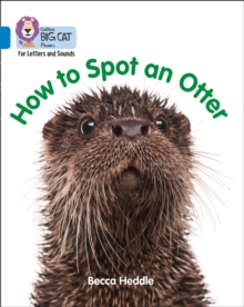 Image for How to spot an otter