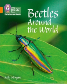Image for Beetles Around the World