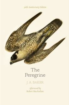 Image for The peregrine