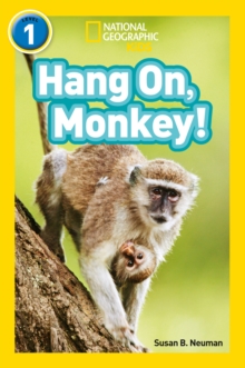 Image for Hang on, monkey!