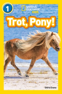Image for Trot, pony!