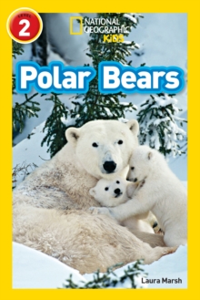 Polar Bears: Level 2