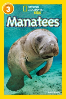 Image for Manatees