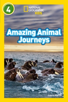 Image for Amazing animal journeys