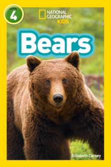 Bears: Level 4