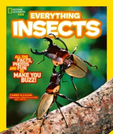 Image for Everything: Insects