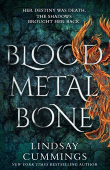 Image for Blood Metal Bone