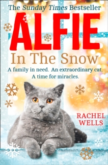 Image for Alfie in the snow