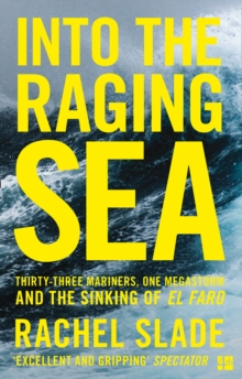 Image for Into the raging sea: thirty-three mariners, one megastorm and the sinking of El Faro