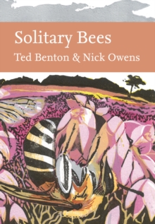Image for Solitary Bees