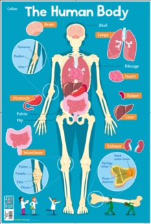 Image for Human Body