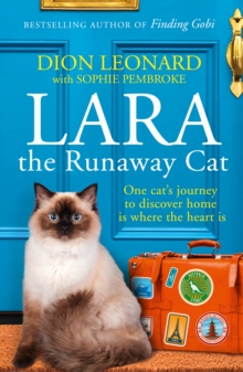 Image for Lara The Runaway Cat