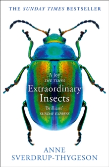 Image for Extraordinary insects: weird, wonderful, indispensable, how they run the world