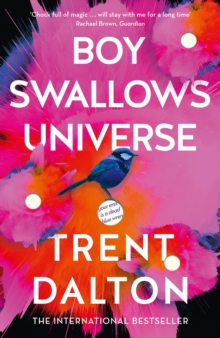 Image for Boy Swallows Universe