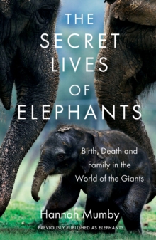Image for Elephants: birth, life and death in the land of the giants