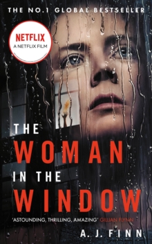 Image for The woman in the window