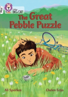 Image for The Great Pebble Puzzle