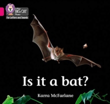 Is it a Bat?: Band 01b/Pink B