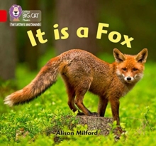 Image for It is a fox