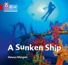 Image for A Sunken Ship