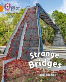 Image for Strange bridges
