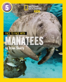 Image for Face to Face with Manatees