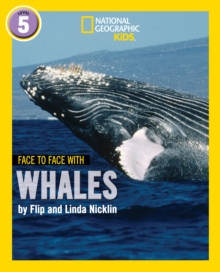 Face to Face with Whales: Level 5