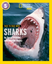 Image for Face to Face with Sharks