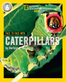 Image for Face to Face with Caterpillars
