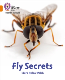 Image for Fly secrets