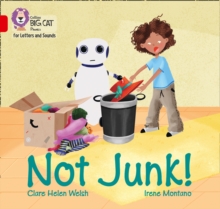 Image for Not Junk!