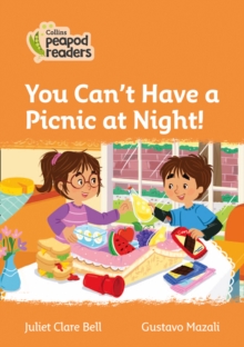 Image for You can't have a picnic at night