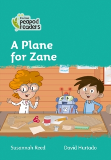 Image for A plane for Zane