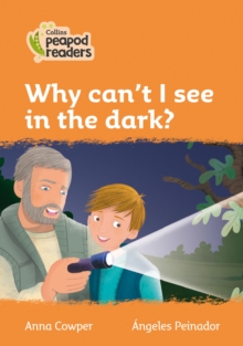Image for Why can't I see in the dark?