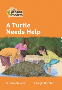 Image for Turtle in trouble