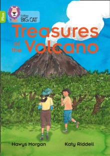 Image for Treasures of the Volcano