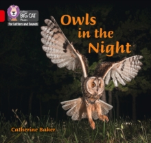 Image for Owls in the night