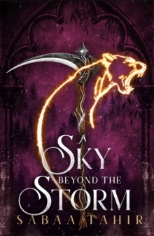 Image for A sky beyond the storm